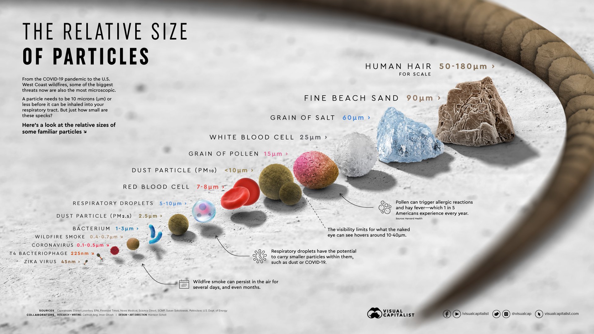 The relative size of particles, by Daniel Loverbey